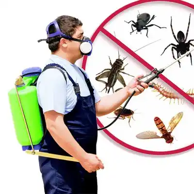 pest control Ferguson